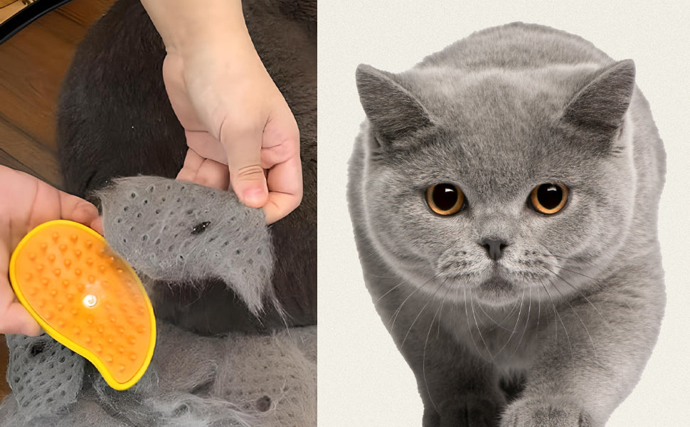Cat Steamy Brus Masaje de silicona