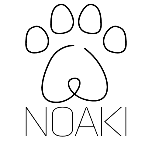 Noaki